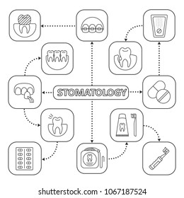 Dentistry mind map with linear icons. Dental crown, veneer, braces, hygiene, medications. Stomatology. Concept scheme. Isolated vector illustration