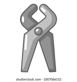 Dentistry tool professional icon. Cartoon illustration of dentistry tool professional vector icon for web