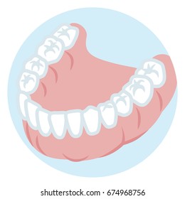Dentition of the lower jaw - Healthy