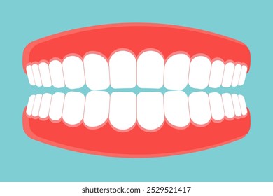 Ícone Denture. Gengivas com dentes ou dentadura. Ilustração vetorial.