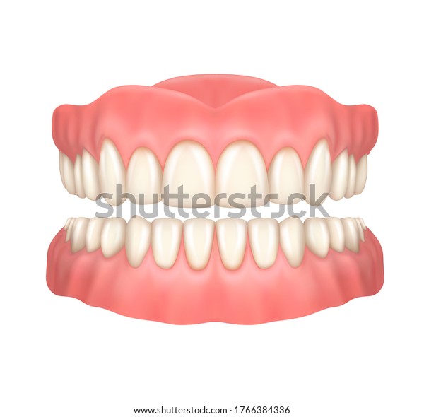 Dentures or false teeth realistic vector design of\
orthodontics and aesthetic dentistry medicine. Upper and lower jaws\
with fake teeth, 3d dental prosthesis on white background,\
healthcare themes