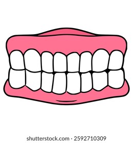 dentures illustration hand drawn isolated vector