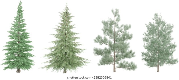 Deodar cedar,Spruce,Pinus sylvestris trees with transparent background, 3D rendering, for illustration, digital composition, architecture visualization