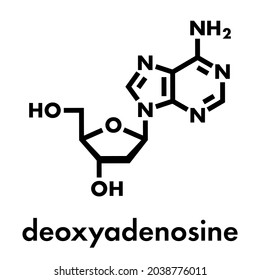 Deoxyadenosin (dA)-Nukleosid-Molekül. DNA-Baustein. Skelettformel.