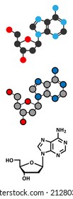 Deoxyadenosine (dA) nucleoside molecule. DNA building block. Stylized 2D renderings and conventional skeletal formula.