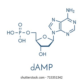 Deoxyadenosine monophosphate (dAMP) nucleotide molecule. DNA building block. Skeletal formula.