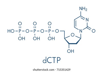Deoxycytidine triphosphate (dCTP) nucleotide molecule. DNA building block. Skeletal formula.