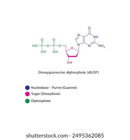 Deoxyguanosine diphosphate (dGDP) skeletal structure schematic illustration, Nucleoside molecule.