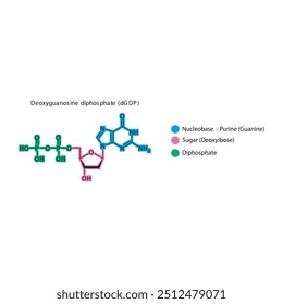 Deoxyguanosine diphosphate (dGDP) skeletal structure schematic illustration, Nucleoside molecule.