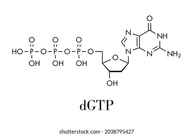 Deoxyguanosine triphosphate (dGTP) nucleotide molecule. DNA building block. Skeletal formula.