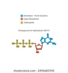Deoxyguanosine triphosphate (dGTP) skeletal structure schematic illustration, Nucleoside molecule.