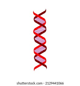 Deoxyribonucleic acid vector. DNA science symbol. Red double helix.