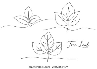 Depicting Leaf Variations Minimalist Icon Concept Continuous One Line Drawing Editable Stroke Style