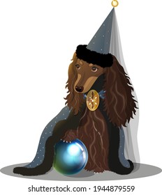 depiction of a long-haired dachshund dressed as an astrologer in a cloak with stars, trimmed fur, a high pointed cap with a vulva, a gold brooch and a magic ball svg