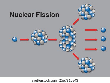 Depicts atomic nucleus splitting into smaller parts