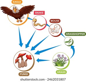 Depicts a food chain with various animals and plants