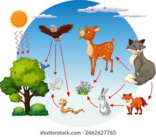 Depicts a forest food chain with various animals