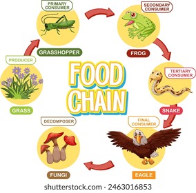 Depicts a simple food chain cycle