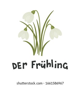 "der Frühling" hand drawn vector lettering in German, in English means "Spring". Deutsch spelling. Blooming snowdrops flowers  isolated over white.