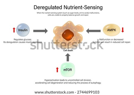 Deregulated nutrient sensing. Hallmarks of ageing. The failure of metabolic pathways to correctly sense and respond to nutrient availability. 