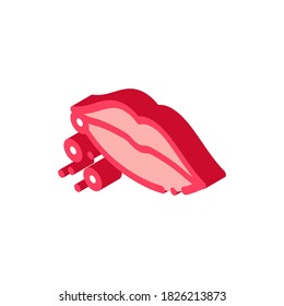 dermatitis near lips icon vector. isometric dermatitis near lips sign. color isolated symbol illustration