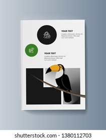 Description of the bird toucan and habitat. Vector illustration