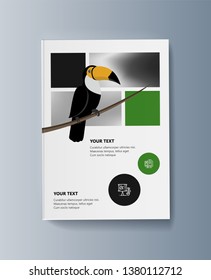 Description of the bird toucan and habitat. Vector illustration