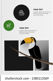 Description of the bird toucan and habitat. Vector illustration