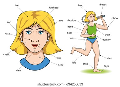 Description of the girl's head and body