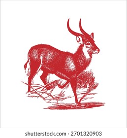 **Description:**
A **Kobus Singh vector** illustration showing an elegant and stylized depiction of the African antelope species *Kobus* (commonly known as waterbuck or kob