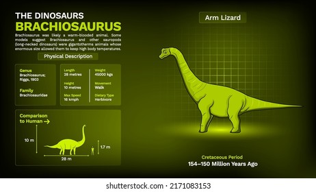 Description and Physical Characteristics of Brachiosaurus Dinosaur-Vector Illustration