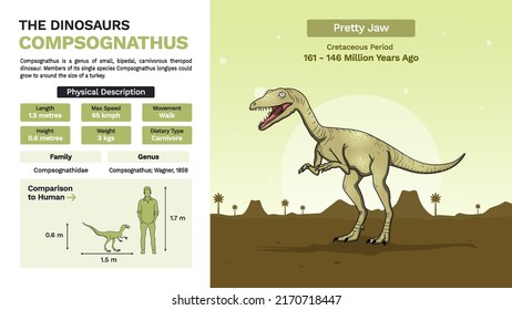 Description and Physical Characteristics of Compsognathus Dinosaur - Vector Illustration