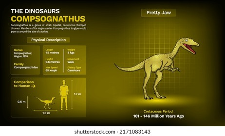 Description and Physical Characteristics of Compsognathus Dinosaur-Vector Illustration