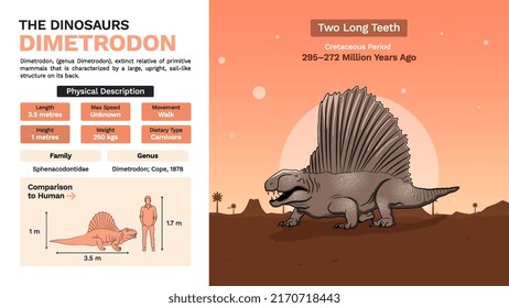 Description and Physical Characteristics of Dimetrodon Dinosaur-Vector Illustration