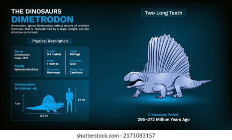 Description and Physical Characteristics of Dimetrodon Dinosaur-Vector Illustration