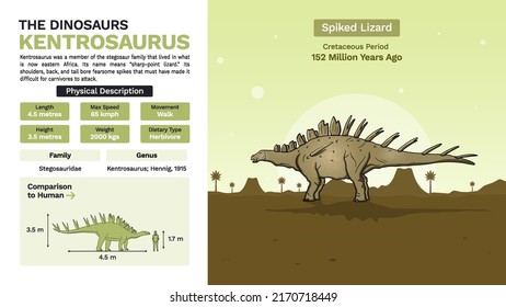 Description and Physical Characteristics of Kentrosaurus Dinosaur- Vector Illustration