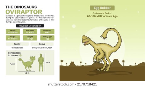 Description and Physical Characteristics of Oviraptor Dinosaur-Vector Illustration