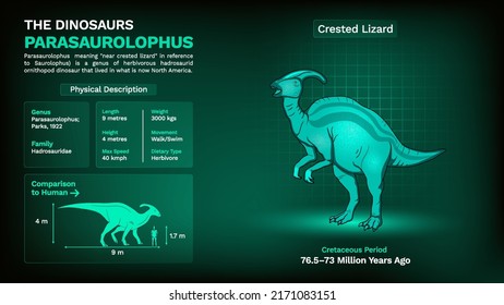 Description and Physical Characteristics of Parasaurolophus Dinosaur-Vector Illustration