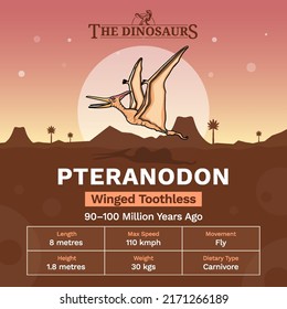 Description and Physical Characteristics of Pteranodon Dinosaur-Vector Illustration