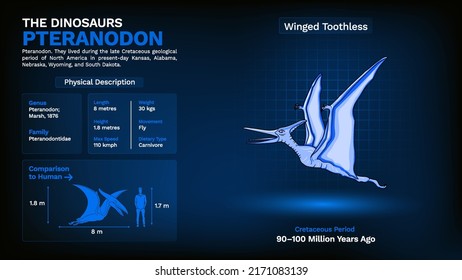 Description and Physical Characteristics of Pteranodon - Vector Illustration