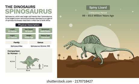 Description and Physical Characteristics of Spinosaurus Dinosaur-Vector Illustration