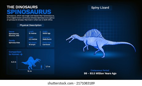 Description and Physical Characteristics of Spinosaurus - Vector Illustration