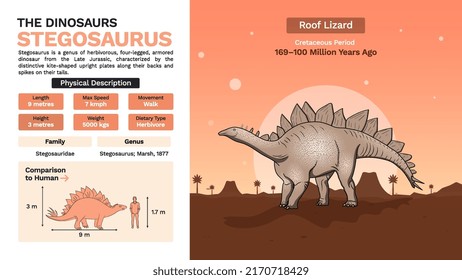 Description and Physical Characteristics of Stegosaurus Dinosaur-Vector Illustration