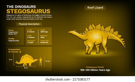 Description and Physical Characteristics of Stegosaurus Dinosaur-Vector Illustration