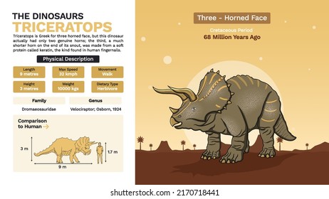 Description and Physical Characteristics of Triceratops Dinosaur - Vector Illustration