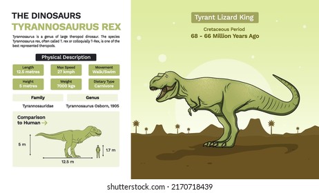 Description and Physical Characteristics of Tyrannosaurus Rex - Vector Illustration