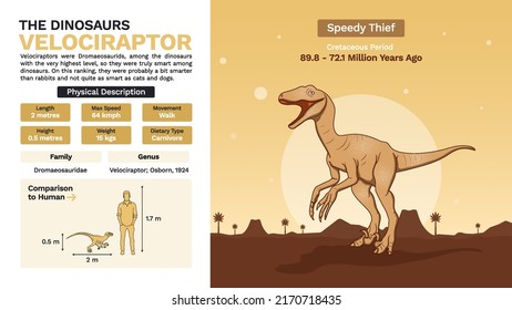 Description and Physical Characteristics of Velociraptor Dinosaur-Vector Illustration