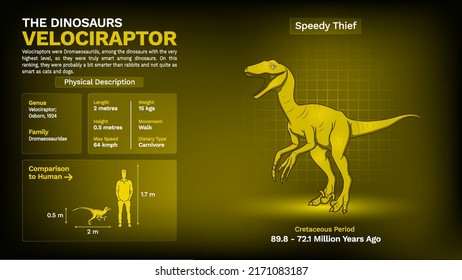 Description and Physical Characteristics of Velociraptor Dinosaur-Vector Illustration