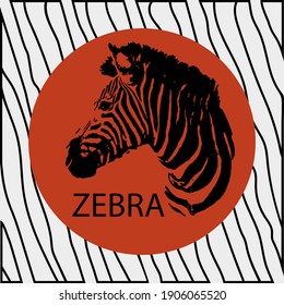 Description Zebra on the background of the red sun of Africa