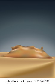 desert